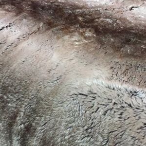 Meet your Posher, Lenore